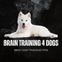Brain Training For Dog