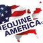 Equine America
