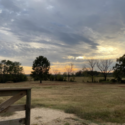 Youngblood Country Cabins