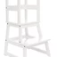 Toddler Step Stool with Safety Rail