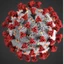 Vaccine + Virus Detox Masterclass (Adults + Kids)