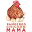 Clucks of Joy Box: