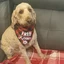 Murphy