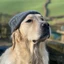 My Youtube Channel