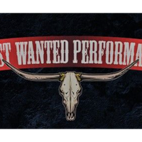 Most Wanted Performance