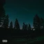 NOW PLAYING