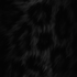 Blaackcat