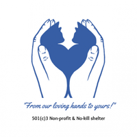 Loving Hands Cat Rescue