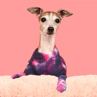 IggyChelseaAndMe 