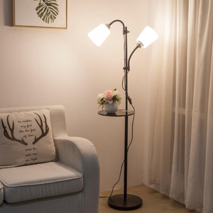 https://dreamspace.club/product/nordic-dual-head-gooseneck-floor-lamp-with-table/