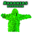 Arkansas BUSHMAN 