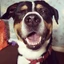Tyson