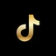 Follow Me on TikTok