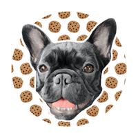 Cookie The Frenchie