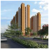 prestigesouthern Star