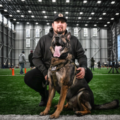 K9 Arlo