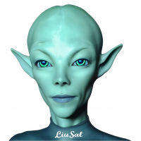 Mr.liusal