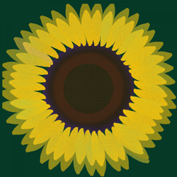 The Sunflower Witchling