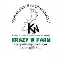 KRAZY W FARM