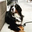 @BentleyG_the_Bernese on Instagram