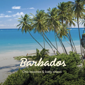 https://www.sandals.com/royal-barbados/photos/?referral=110957&agentid=MALO9609