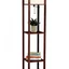 Floor Lamps with Shelves