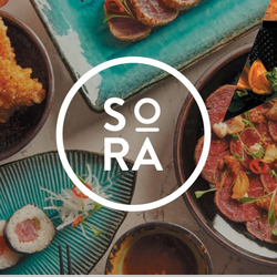 Sora