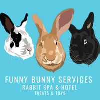 Funny Bunny Services 