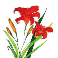 MyArtGarden