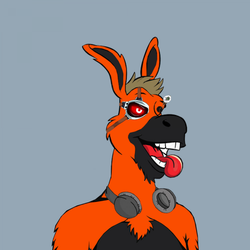 Lazy Donkey Club
