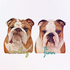 Bentley & Finn