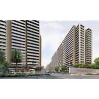 Prestige Evergreen