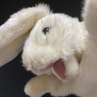 realSillyRabbit