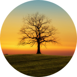 Spiritual Quest