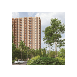 Birla Evara