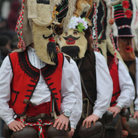 Kukeri Net