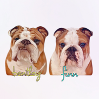 Bentley & Finn