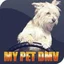 My Pet DMV