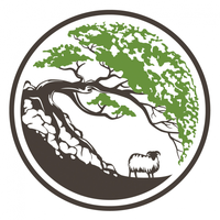 White Thorn Media