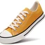 Canvas Shoes
