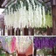 Shop Wisteria Flowers