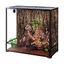 Large Vertical Reptile Tank