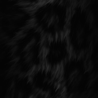 Blaackcat