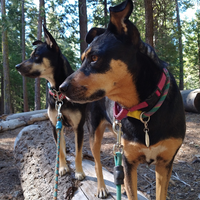Mayzie & Tanner 