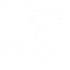 Tachileik News Agency Webiste