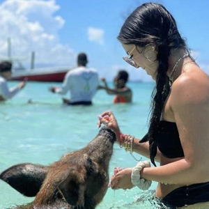 https://www.viator.com/tours/Nassau/Exclusive-Swimming-Pigs-Speed-Boat-Snorkeling-Beach-Bar-and-Grill-Package/d420-52556P13?pid=P00006875&uid=U00257402&mcid=58086&currency=USD